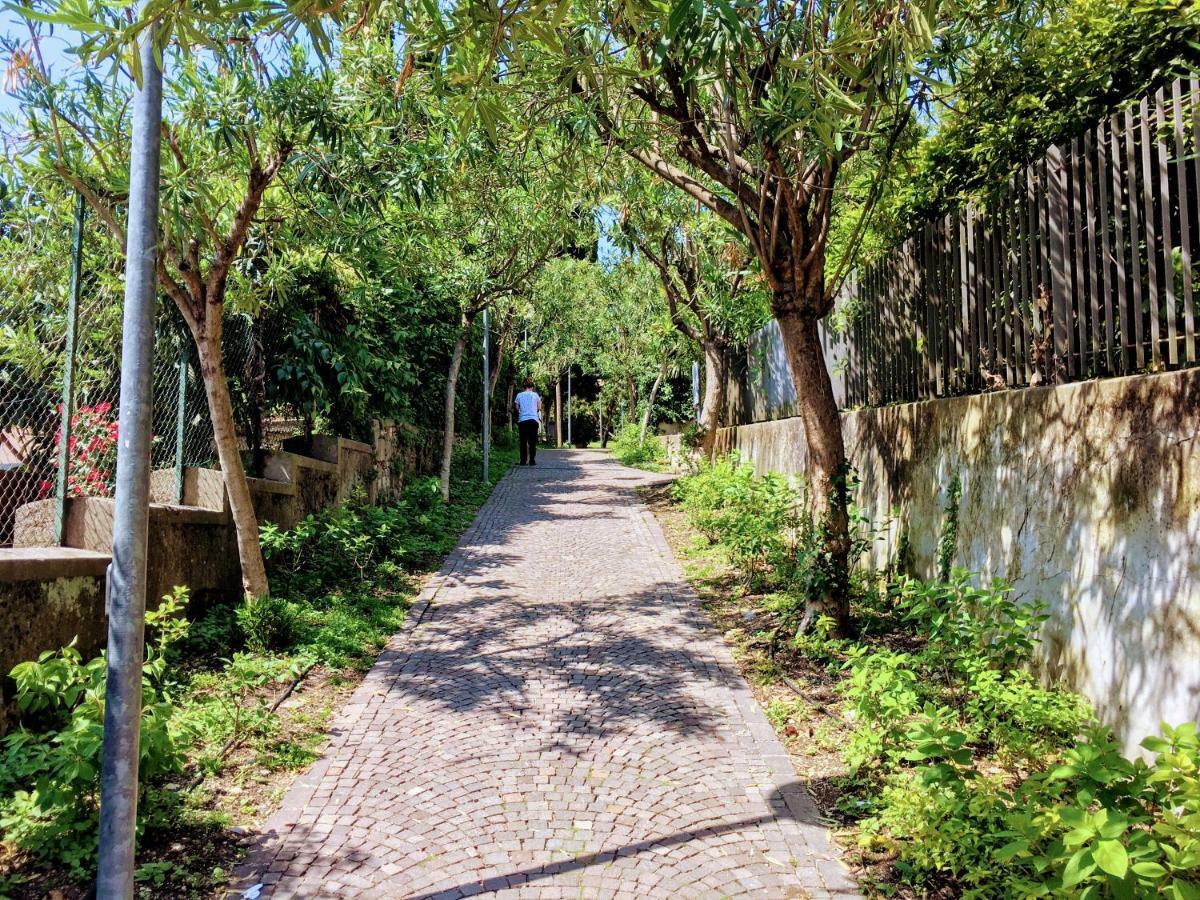 La Briciola Leilighet Sirmione Eksteriør bilde